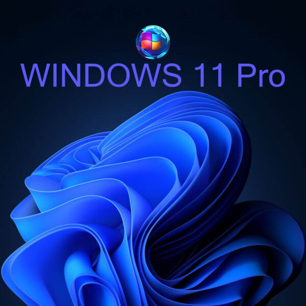 Windows 11 Pro